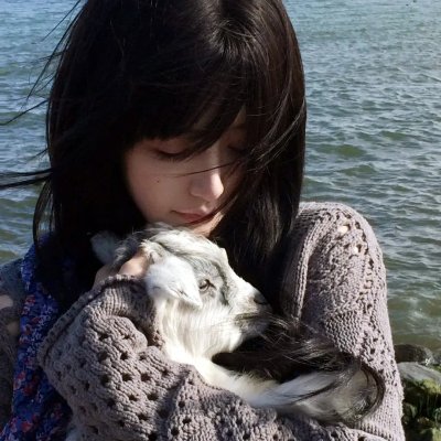聪明的鸭子海报